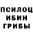Псилоцибиновые грибы Magic Shrooms Bajrija Redzovic