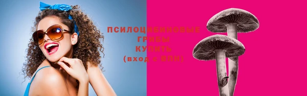 прущие крисы Армянск