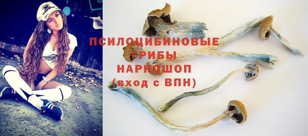 метадон Алексеевка
